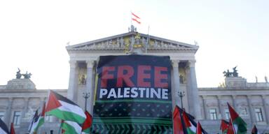palästina demo wien