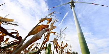 EVN muss Übergewinne künftig an Kunden weitergeben