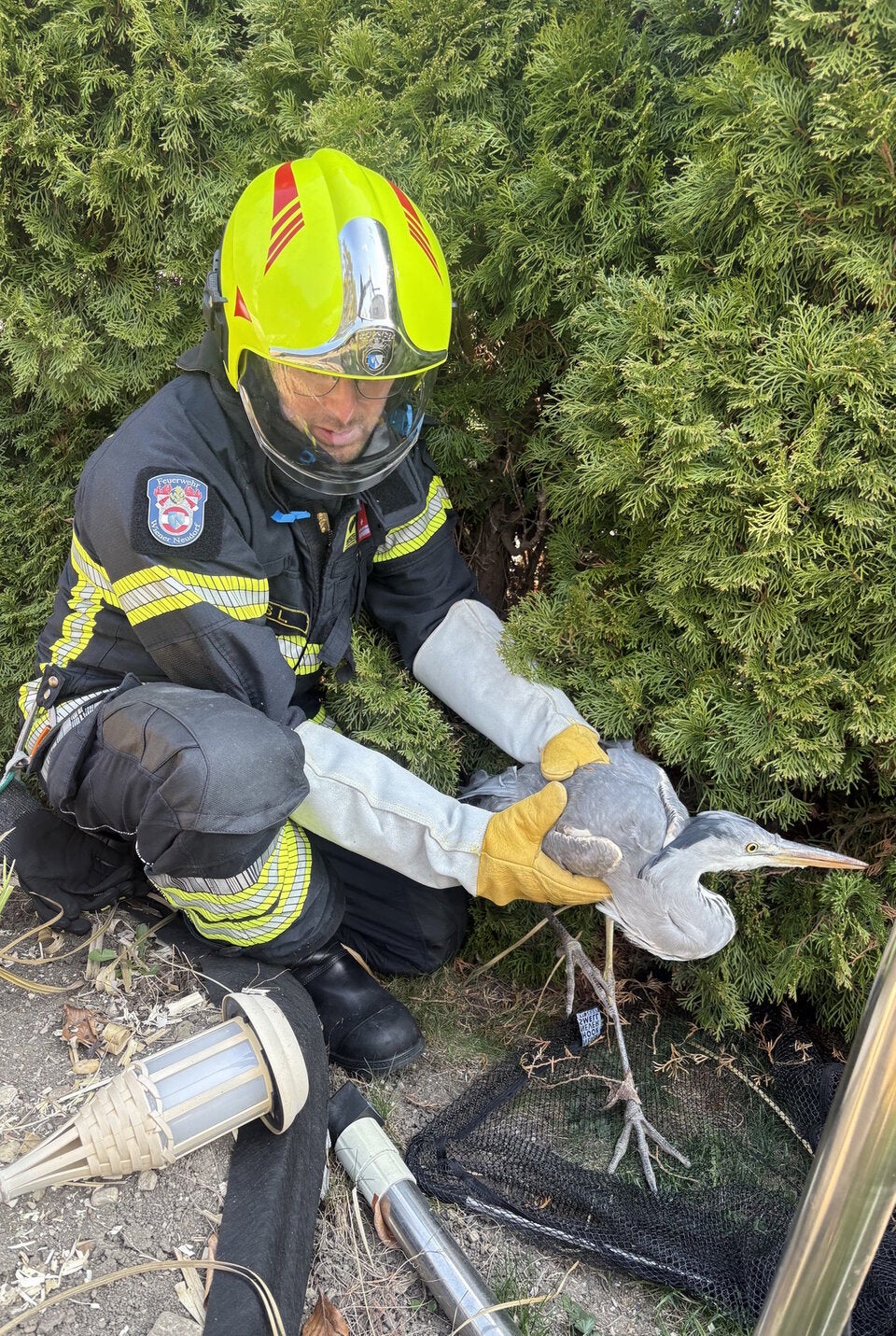 Feuerwehr rettete verletzten Reiher aus Garten