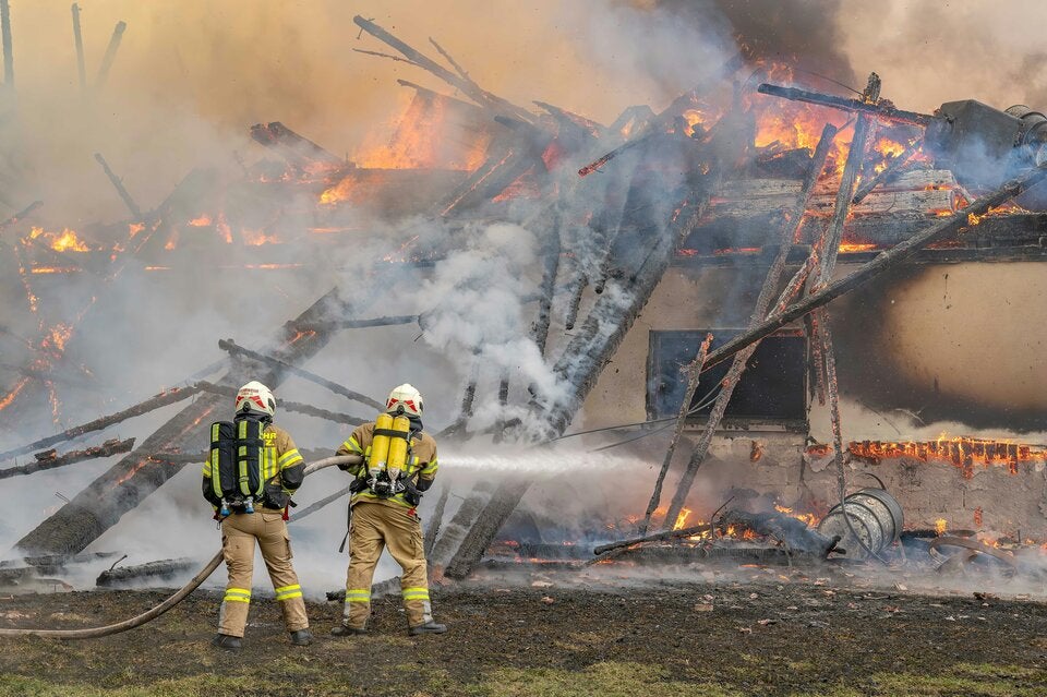 Mehrere Tiere bei Bauernhofbrand verendet