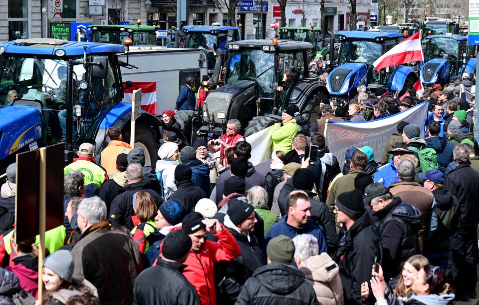Demo in Wien