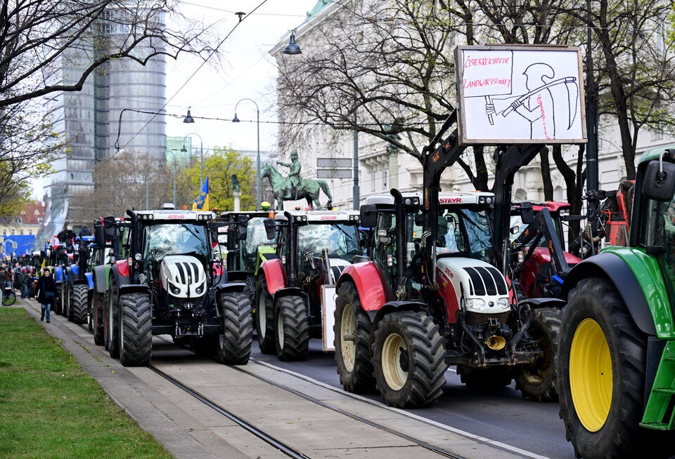 Demo in Wien