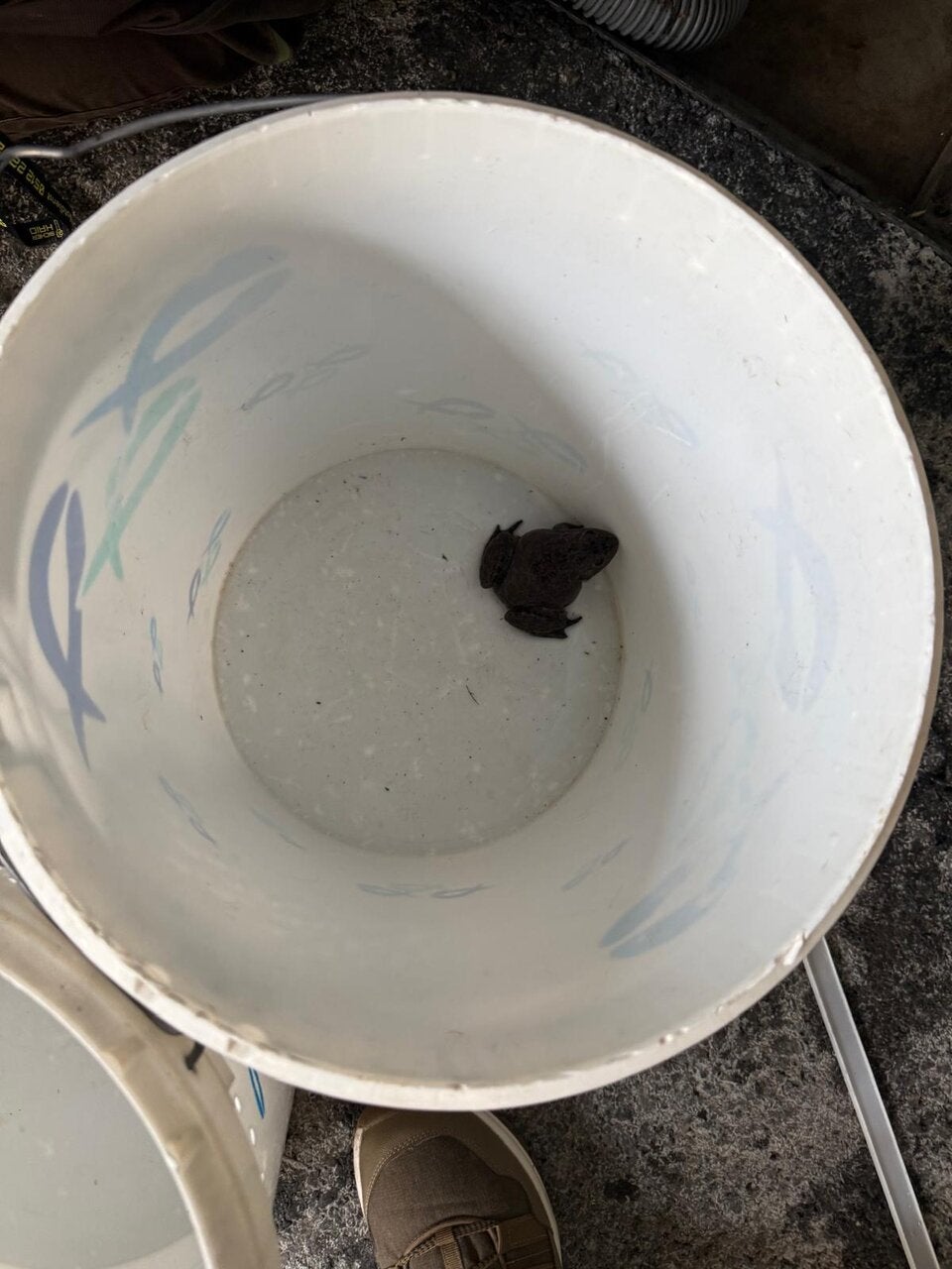 Brand in Fröschlhaus