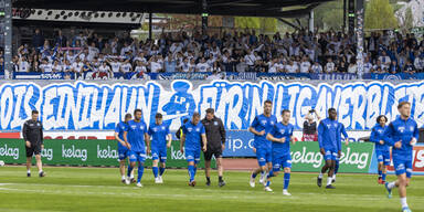 Blau-Wei&szlig;-Linz-Fans