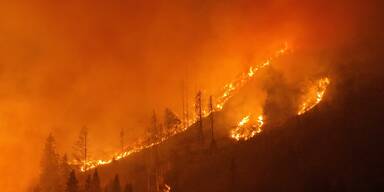 Waldbrand im Lesachtal