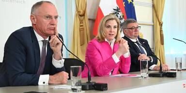 Karner, Meinl-Reisinger, Leichtfried