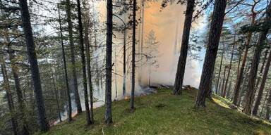 Gro&szlig;einsatz bei Waldbrand in Wiener Neustadt