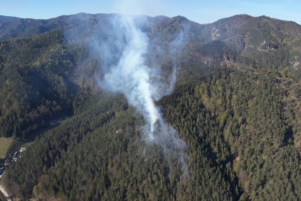 Großeinsatz bei Waldbrand in Wiener Neustadt