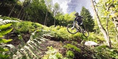 Alpen Bikepark Schneeberg w&auml;chst schneller als geplant