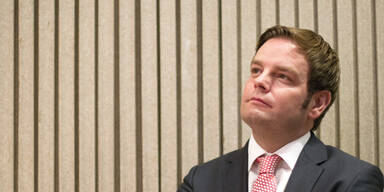 Riesen-Wirbel um falsche FP&Ouml;-Plakate