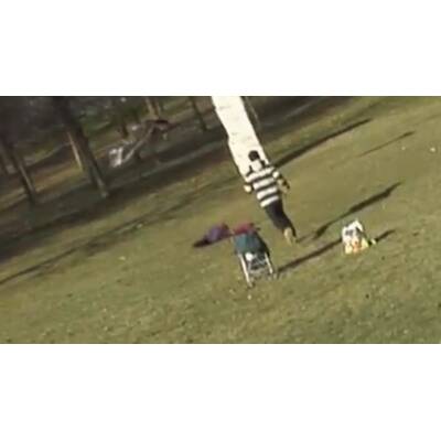  Die Horror-Attacke ereignete sich in einem Park in Kanada.