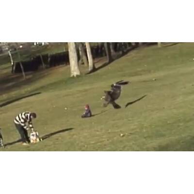  Die Horror-Attacke ereignete sich in einem Park in Kanada.