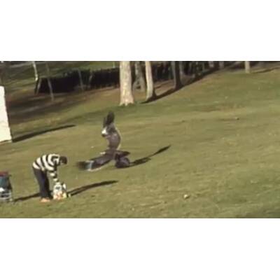  Die Horror-Attacke ereignete sich in einem Park in Kanada.