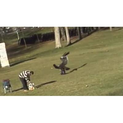  Die Horror-Attacke ereignete sich in einem Park in Kanada.