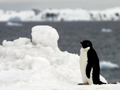 AFPFTP-TRMvd473861_2