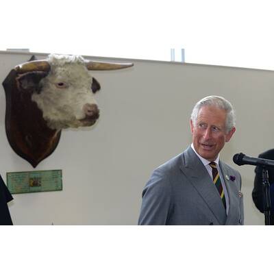 Prinz Charles ist noch gelassen