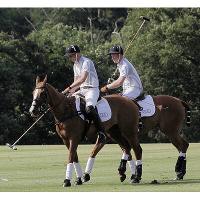 Prinz William & Harry beim Polo-Turnier in Ascot