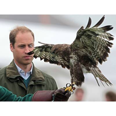 Prinz William macht's Charles nach