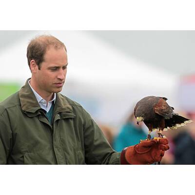 Prinz William macht's Charles nach