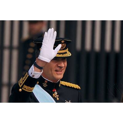 König Felipe: Seine Vereidigung