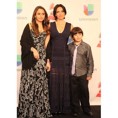 Die Stars bei den Latin Grammys 2014