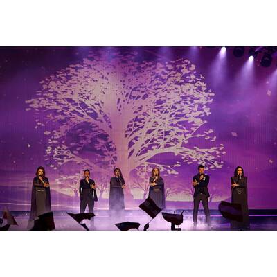 Eurovision Song Contest 2015: Alle Bilder