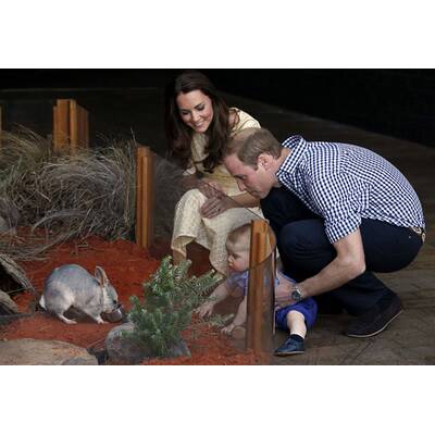 Herzogin Kate, Prinz William & Baby George: Abschied von Australien