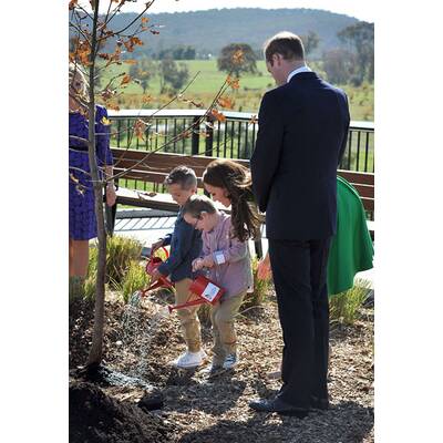 Herzogin Kate & Prinz William: Australien-Tour bald zuende