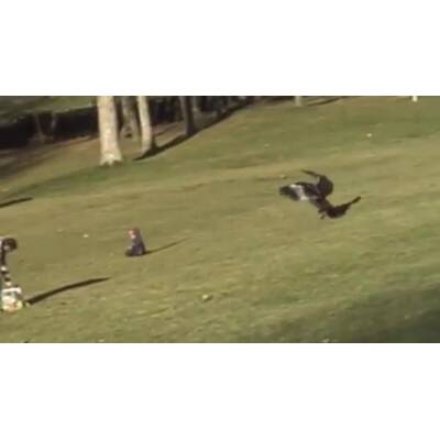  Die Horror-Attacke ereignete sich in einem Park in Kanada.