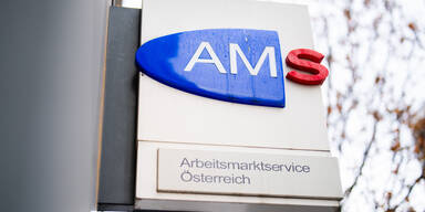 AMS-Chef schl&auml;gt Alarm: "Dramatische Situation"