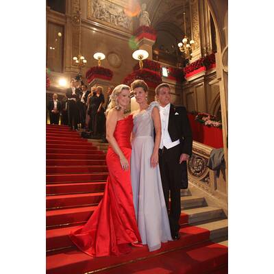 Desiree Treichl-Stürgkh: Ihre besten Opernball-Bilder