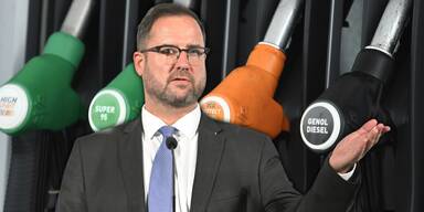 FP&Ouml;-Generalsekret&auml;r Hafenecker attackiert Regierung wegen Spritpreisen