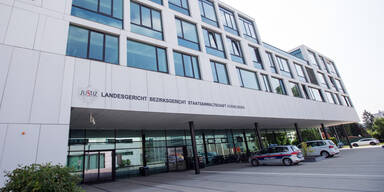 Schuldspruch nach Attacke auf Beamte in Kellergasse