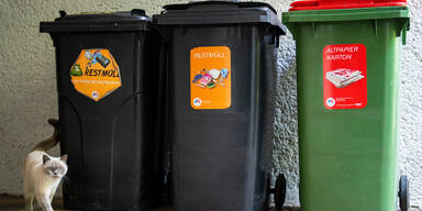 Neujahr startet mit Wiener Gebühren-Hammer