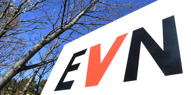 EVN zahlte Kunden zig Millionen Euro zur&uuml;ck