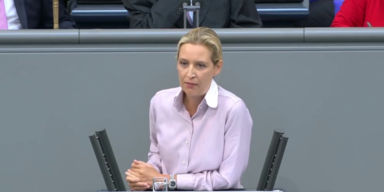APA Alice Weidel.png