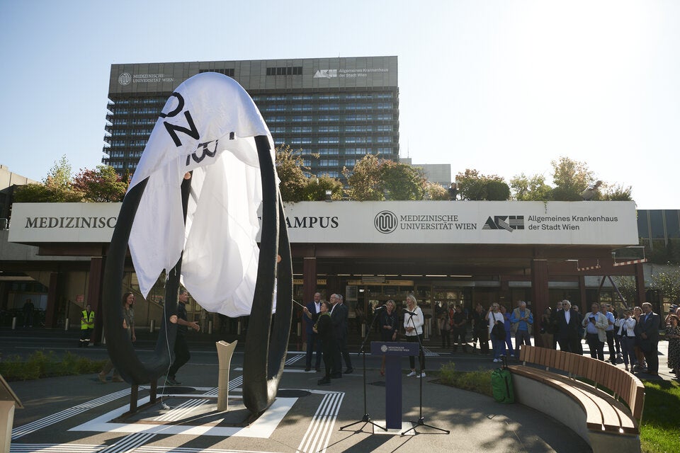 ''Corona-Denkmal der Hoffnung'' vor AKH enthüllt