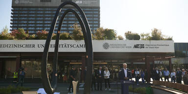 ''Corona-Denkmal der Hoffnung'' vor AKH enthüllt