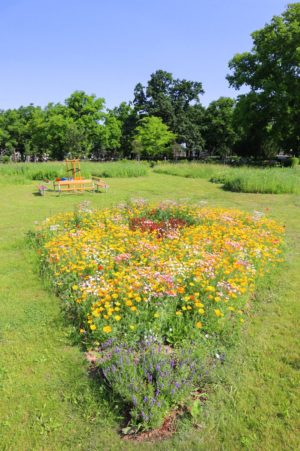 Am Friedhof Feuerhalle Simmering werden ab dem Frühjahr 2026 Blumenwiesengräber für Urnen angeboten.
