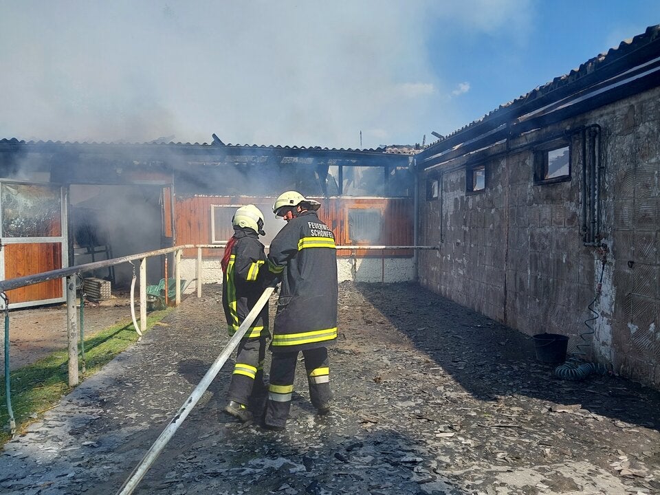 Brand NÖ Gänserndorf