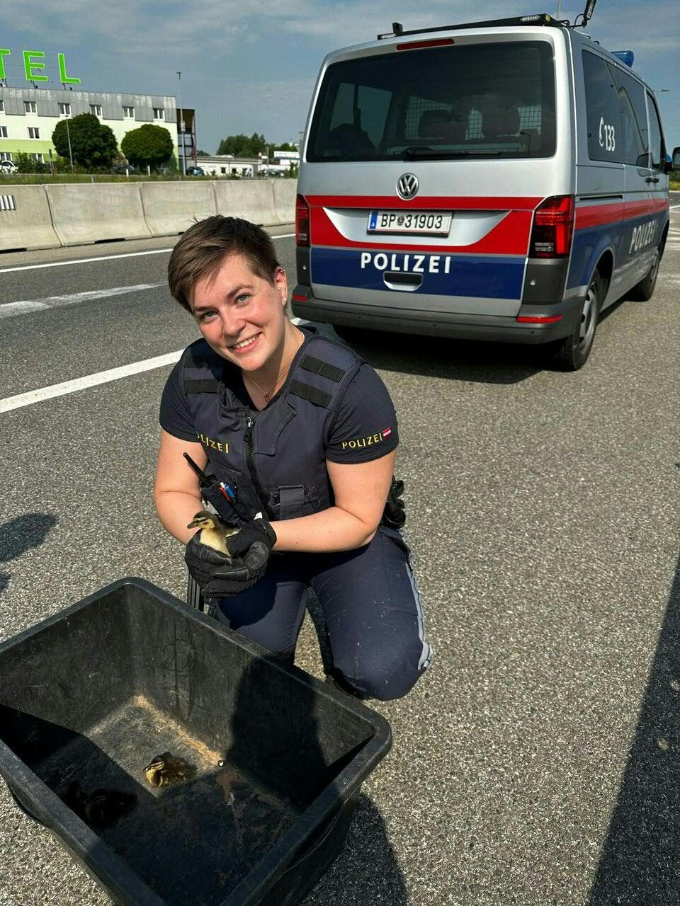 Entenfamilie sorgte für Autobahn-Sperre