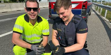 Entenfamilie sorgte für Autobahn-Sperre