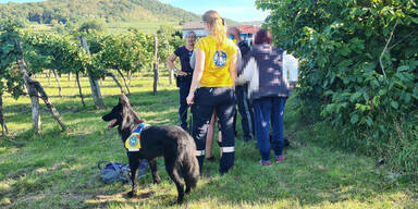 Hund findet Vermisste