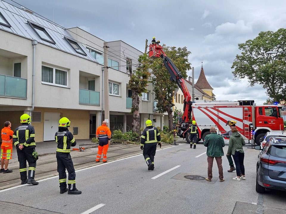 Sturm legte Badner Bahn stundenlang lahm