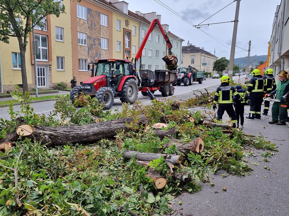 Sturm legte Badner Bahn stundenlang lahm