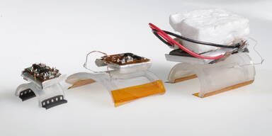 GUOYONG MAO/DAVID SCHILLER