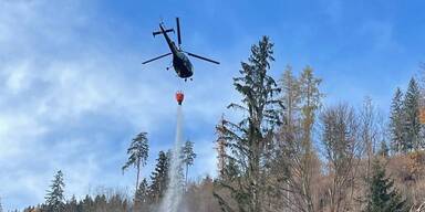 Löschaktion bei Waldbrand