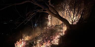 Waldbrand Vorarlberg
