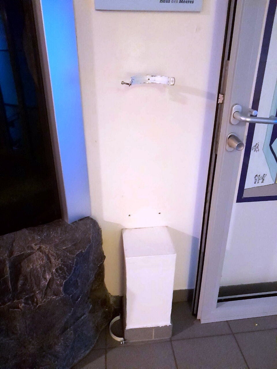 Haus des Meeres: Spendenkassa geplündert