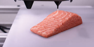 LAchs aus 3D-Drucker